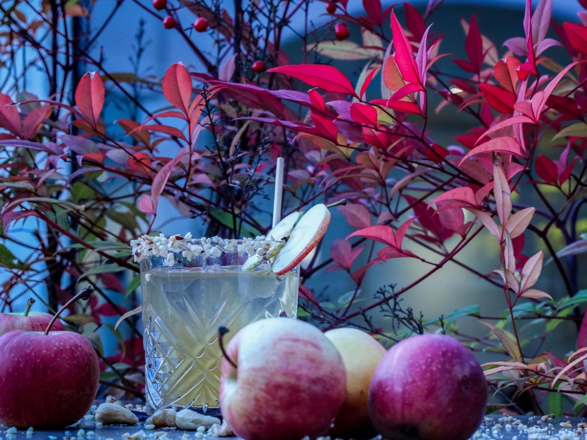 Mercure Aix-Les-Bains Domaine De Marlioz Hotel & Spa Eksteriør billede